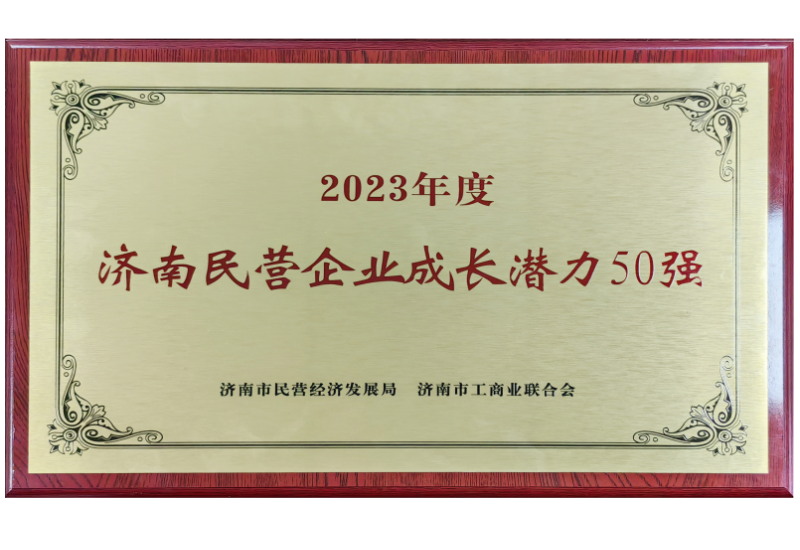 濟南市民營企業(yè)成長潛力50強