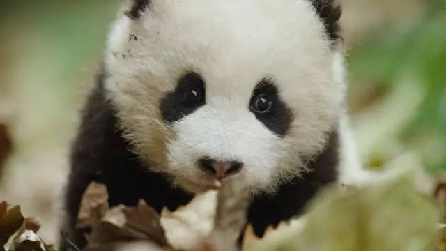 點(diǎn)擊查看圖片來(lái)源