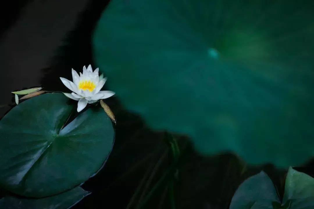 點(diǎn)擊查看圖片來(lái)源